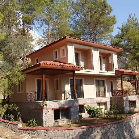 Villa Therace Life Villas